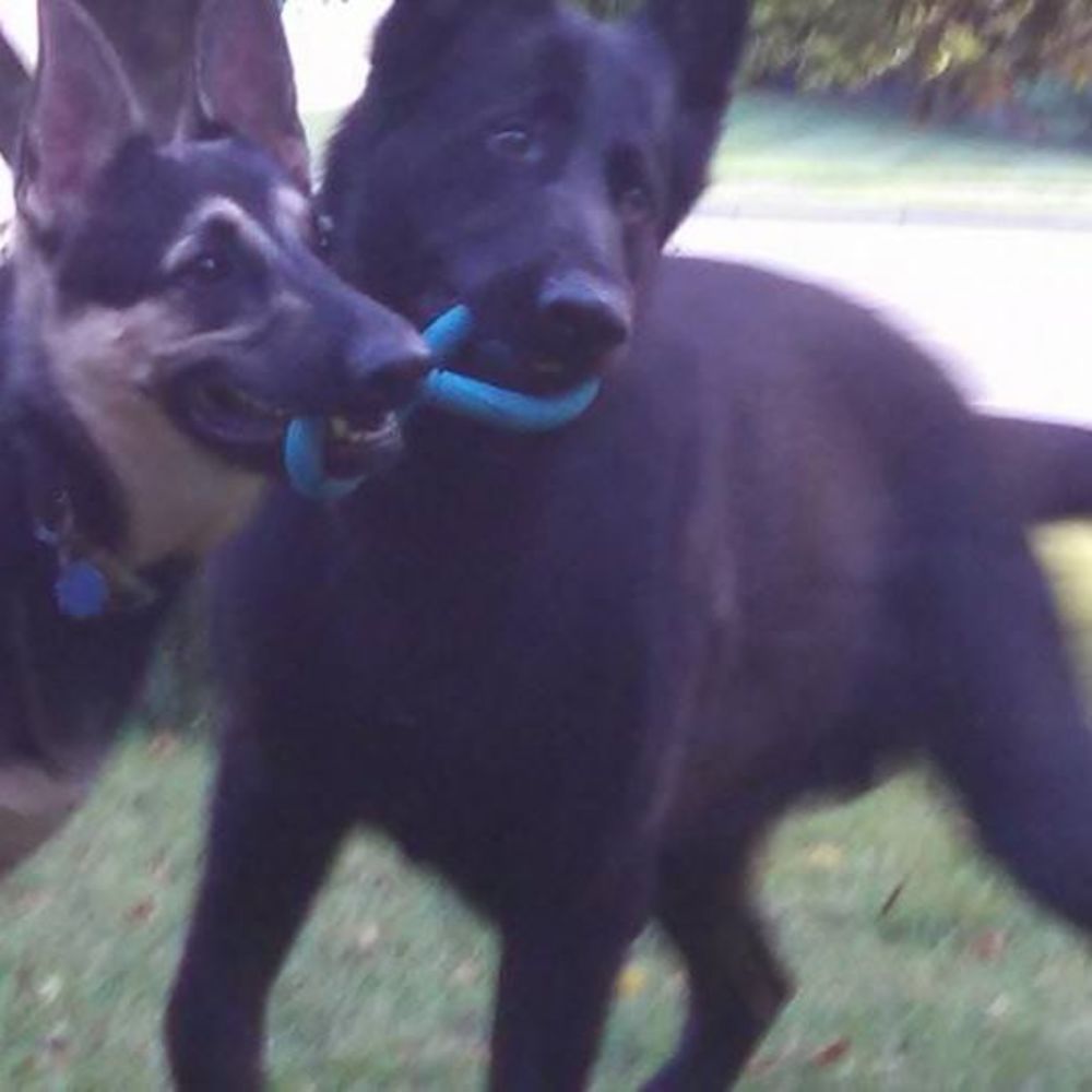 Meet your Posher, Cheryl